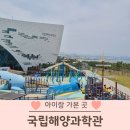 국립해양과학관 울진 아이랑 가볼만한 곳