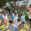 월랑초등학교 이미지