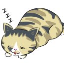 갈맷길 5코스 5-2구간 이미지