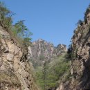 대산초등 이미지