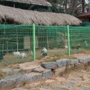 근흥농장 이미지