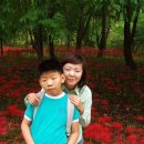 경산서부초등학교 이미지