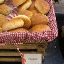 레지던스시티 | 세부 시티 퀘스트 호텔 레지던스 숙소, 조식 픽업 솔직후기