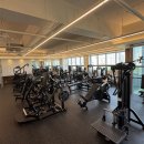 파리스짐 이미지