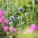 봉선체육공원2 이미지