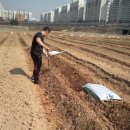 복학농장 이미지