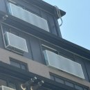 프리메라1 이미지