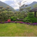 푸른정원펜션 이미지