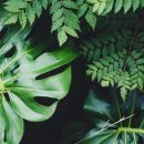 비타민안경.콘택트 이미지