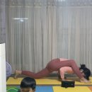 요기쿤스트