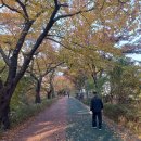 장안1제방 이미지