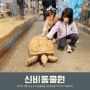 가평어린이집 | 가평 신비동물원 가평 아이랑 가볼만한곳 실내 동물 먹이주기 체험 후기