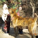 산골자전거 이미지