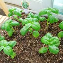 스위트허브 이미지