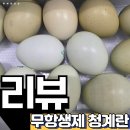 청계콩나물국밥 | 계란 비린맛 싫어하던 아이가 이건 먹어요