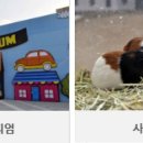 테라스파크 광장 이미지