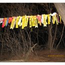 말티삼거리 이미지