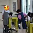 양산미용학원 | [양산애견미용학원] 양산 애견미용, 다 비슷해 보여서 고민했다면 이 후기 참고하세요!!