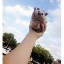 따봉PC방 이미지