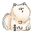 디반식스 이미지