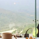 곰배령 쥐와 돼지 이미지