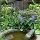 사랑과믿음유치원 이미지