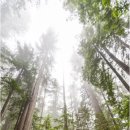 치유숲정신건강의학과의원 이미지