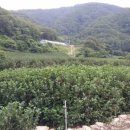 안정농장 이미지