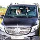 메디칼마운트 이미지