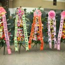 크로앙스 스튜디오 Daum카페