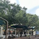 지에스25서초예당점 | [서초 예술의 전당 맛집 - 25년8월 오픈] 빌라드샬롯 - 분위기 최고. 예당 맛집. 성공적.