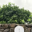 이플제주 이미지