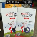 하프로스크린골프