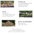 휘겔하임 이미지