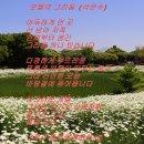 석은수