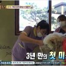 멍멍이와 야옹이 분양 미용 네이버블로그