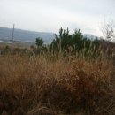 광양읍 부영아파트 이미지