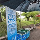 경주동궁원 이미지