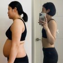 쎈라이프 | 허벌라이프 허벌티 가격, 비싸도 먹은 이유