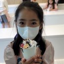 리프혁신국제학원 네이버블로그