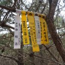 곡성-264 이미지