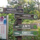 자금교