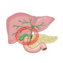 어울동물의료센터 이미지