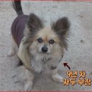 이천두농장 이미지