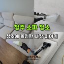 올인 크리닝 이미지