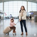 서강어린이집 | [서울 겨울 아이와가볼만한곳] 여의도 한강공원 눈썰매장 주차 준비물 뽀로로공연 총정리