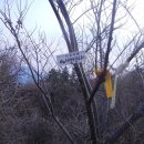 장산토성 이미지