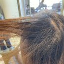 디와이샵 이미지