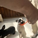 청성농장 이미지