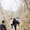 국립제천치유의 숲 현장체험학습 후기 음이온효과